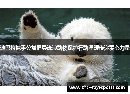 迪巴拉携手公益倡导流浪动物保护行动温暖传递爱心力量 迪巴拉携手公益倡导流浪动物保护行动温暖传递爱心力量